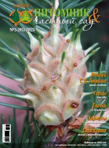 Turmush qurgan ayoldan blowjob forumi