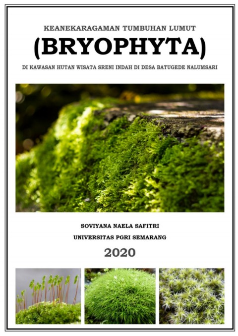 Keanekaragaman Tumbuhan Lumut Bryophyta Di Kawasan Hutan Wisata Sreni Indah Di Desa Batugede Nalumsari Jepara Flip Ebook Pages 1 35 Anyflip Anyflip