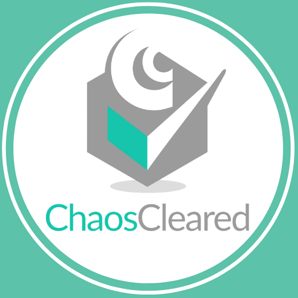 Dust & Moth Proof Storage Bag for Clothes and Blankets Chaos Cleared