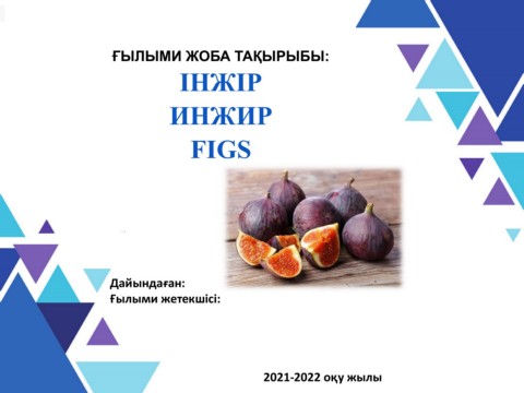 Жас қыздардың секс порно видеолары