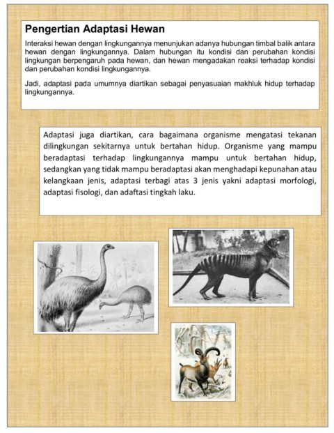Penyesuaian Diri Makhluk Hidup Terhadap Lingkungan