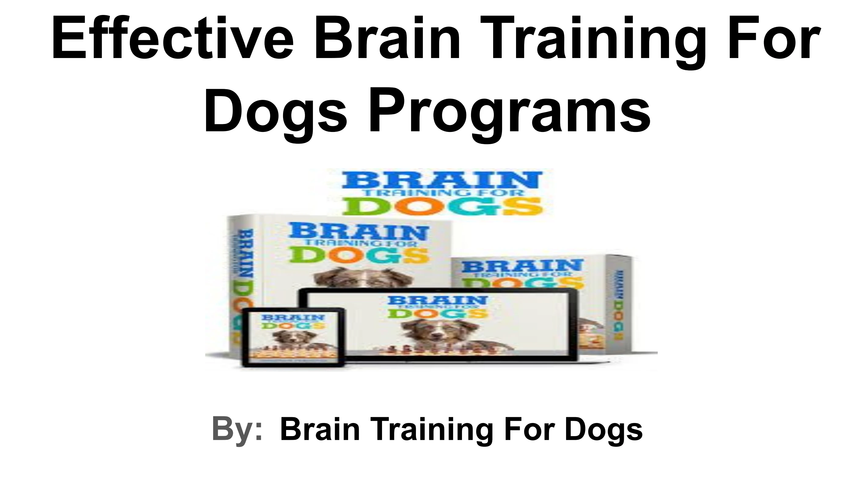 Brain Training For Dogs