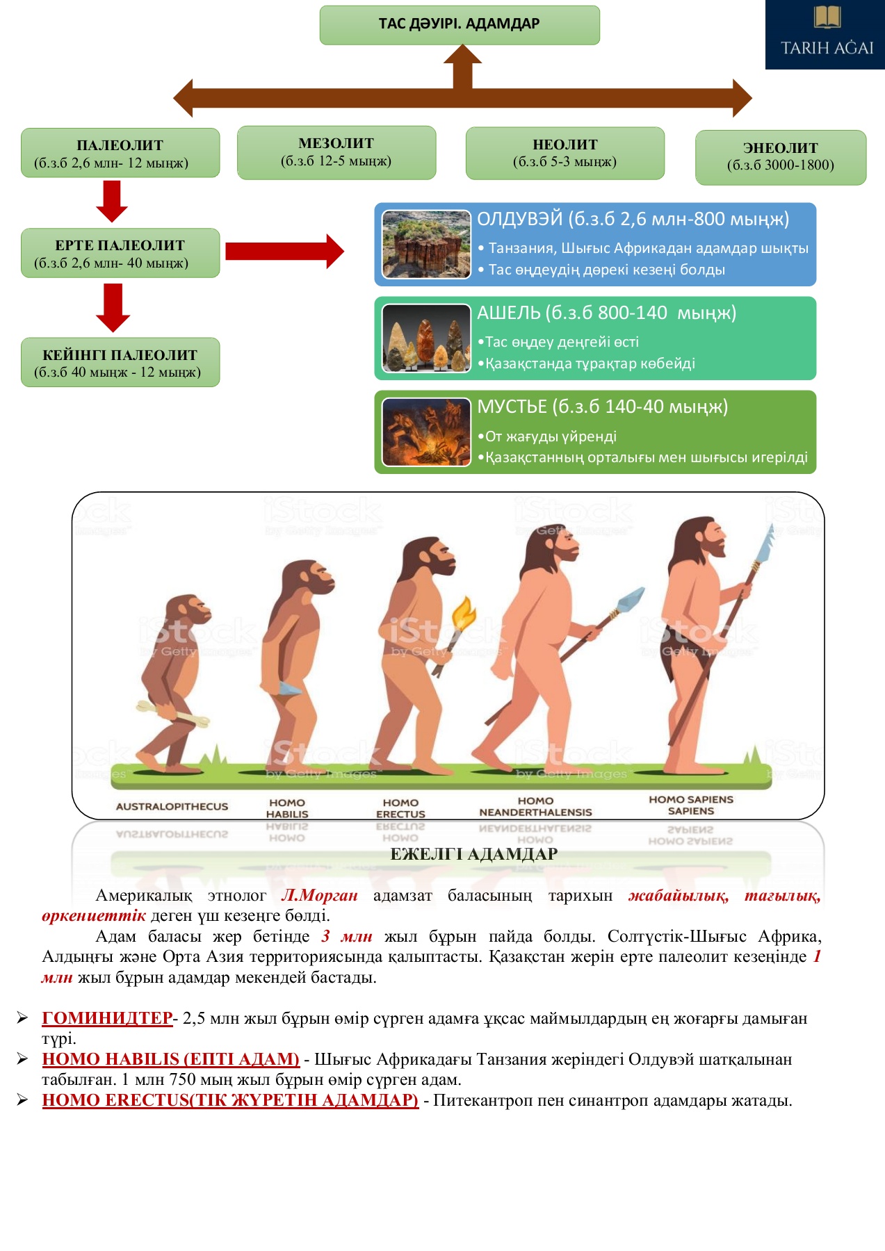 Колготкидегі жетілген есектердің жеке фотосы