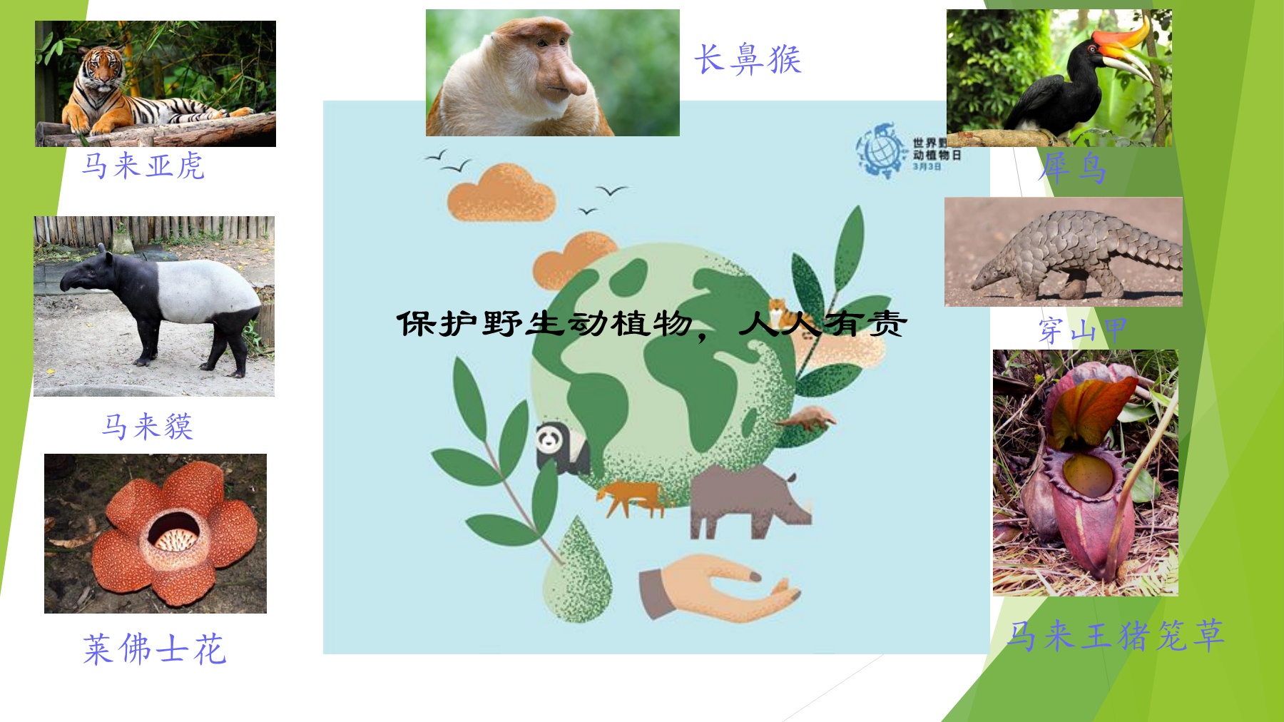 保护 Flip Ebook Pages 1 8 Anyflip Anyflip