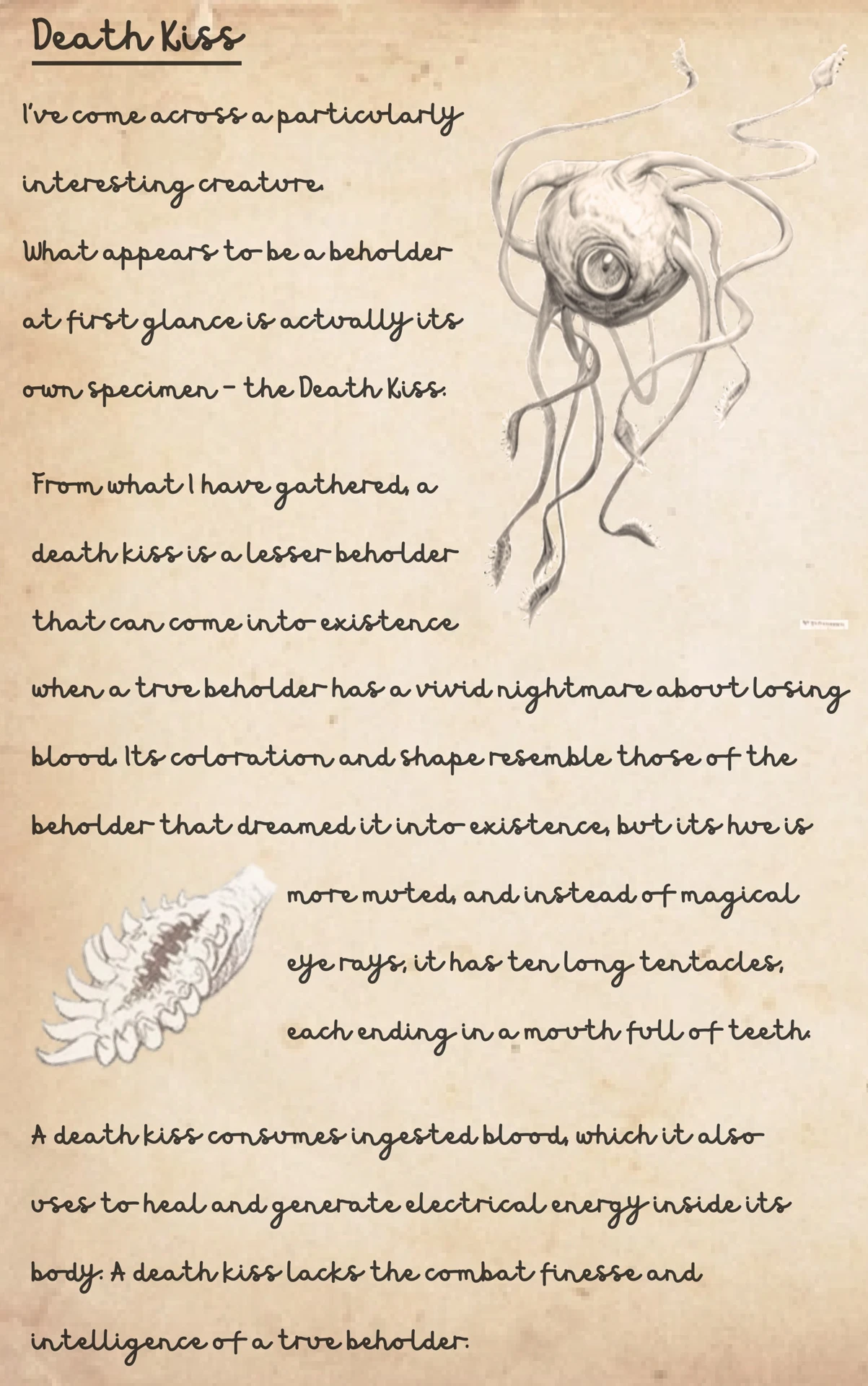 Reports on Beholders