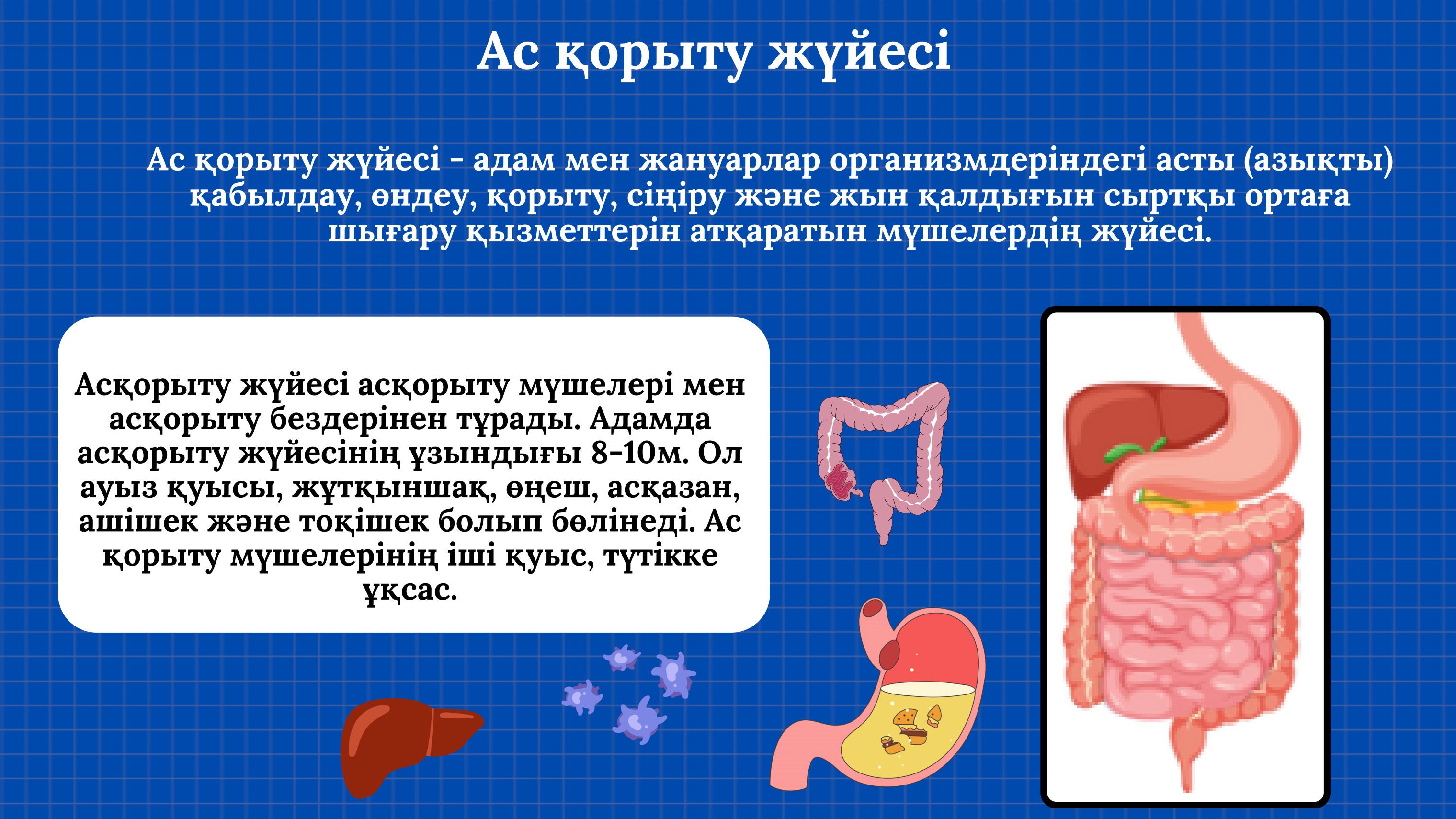 Бейнедегі сексуалдық толқулар