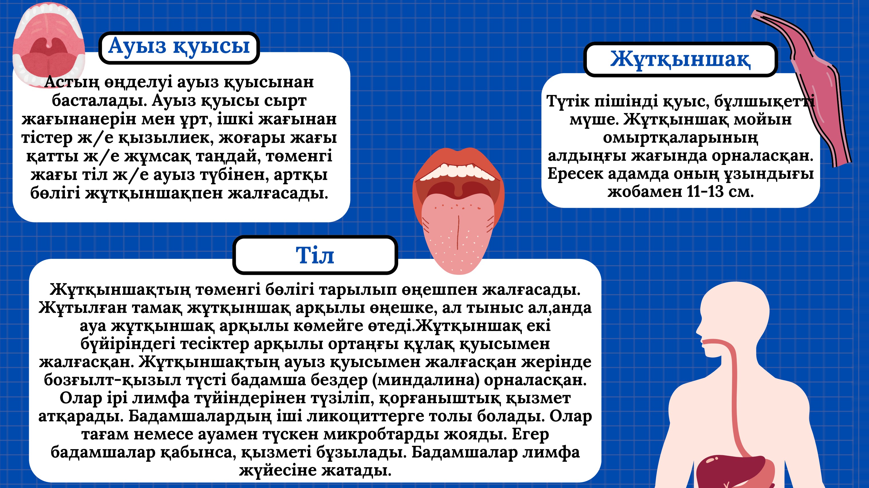 Орамал таққан түрік әйелдерінің жыныстық қатынасқа түскені туралы порно видео