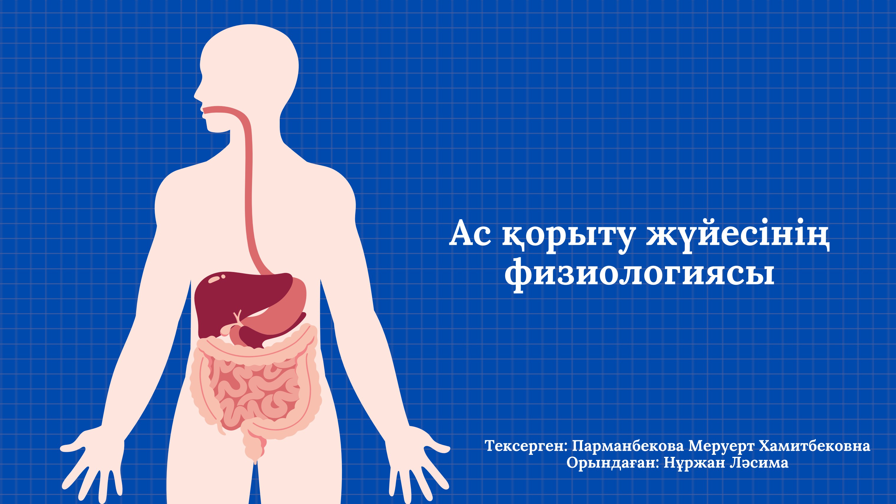 Шұлықтағы аналардың қатысуымен порно анальды