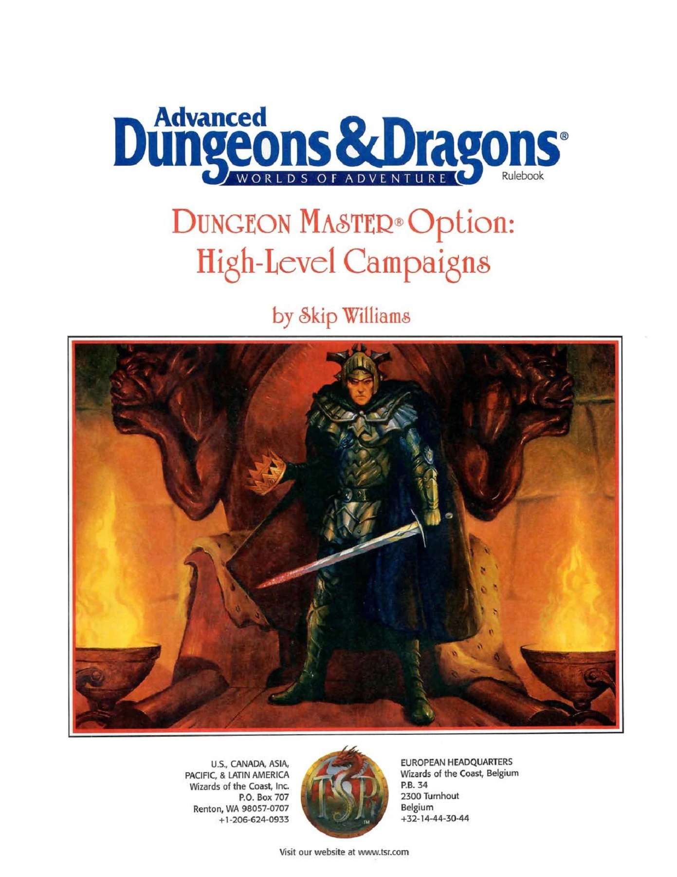 AD&D - Dungeon Master Option - High-Level Campaigns (2e)