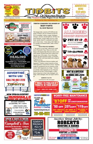 Volume 9 Issue 11