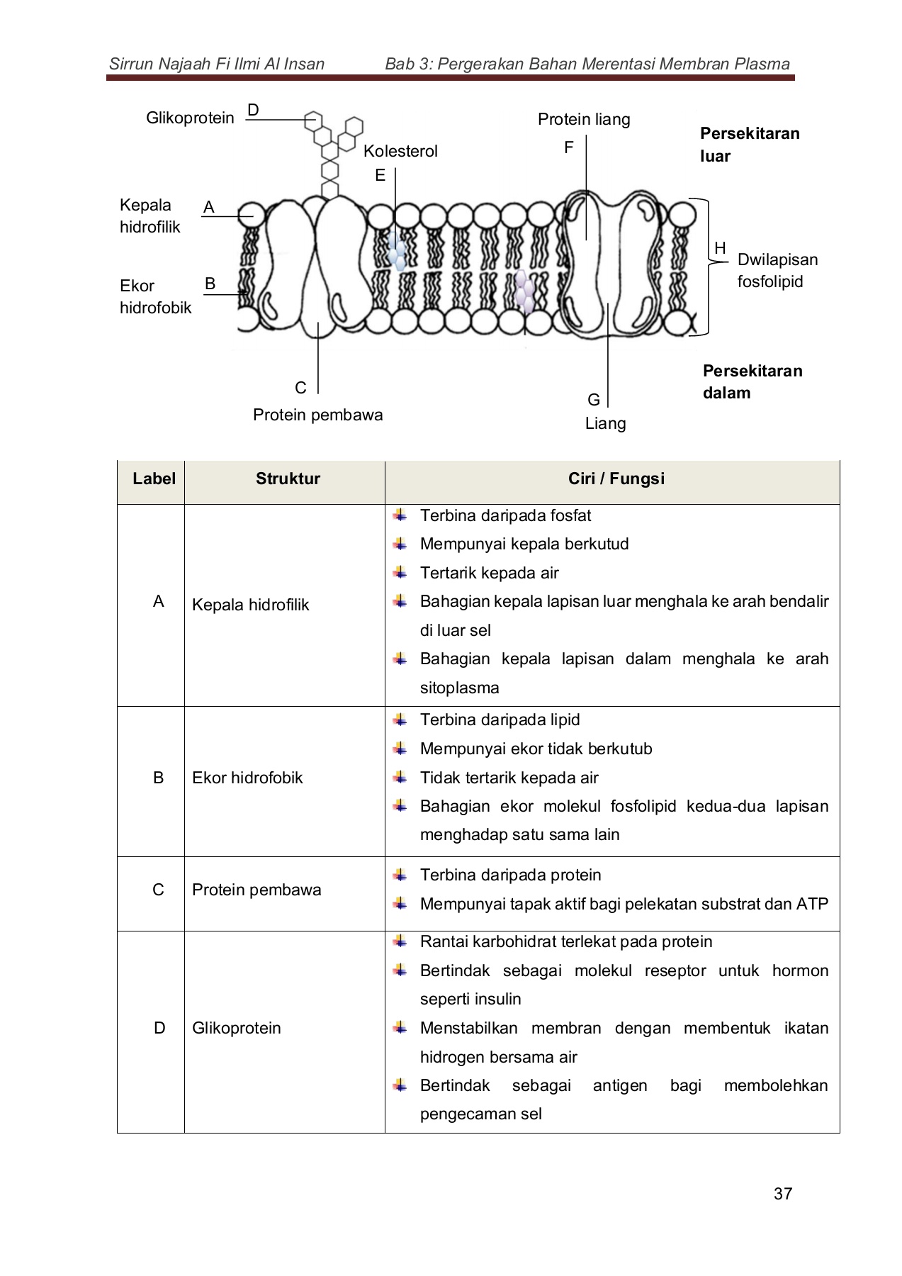 3 BAB 3 Salinan Guru F4 BM - Flip eBook Pages 1-25 | AnyFlip