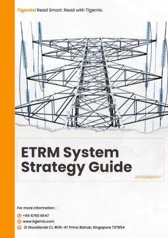 ETRM System Strategy Guide [Tigernix] - nicho.lee Flip PDF | AnyFlip