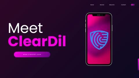 Cleardil's Api Integration of AML Screening and KYC Verification ...