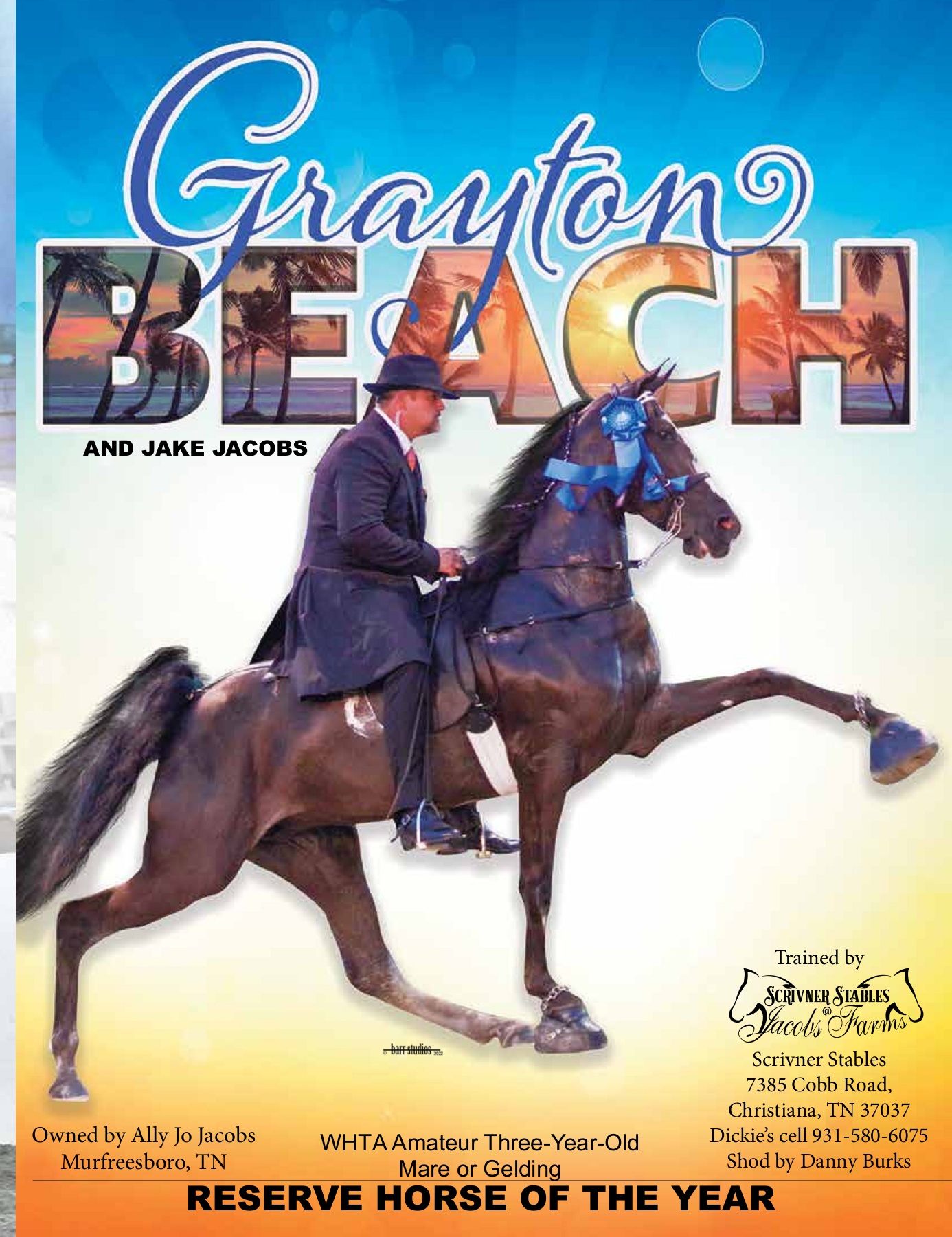 Voice of the Tennessee Walking Horse