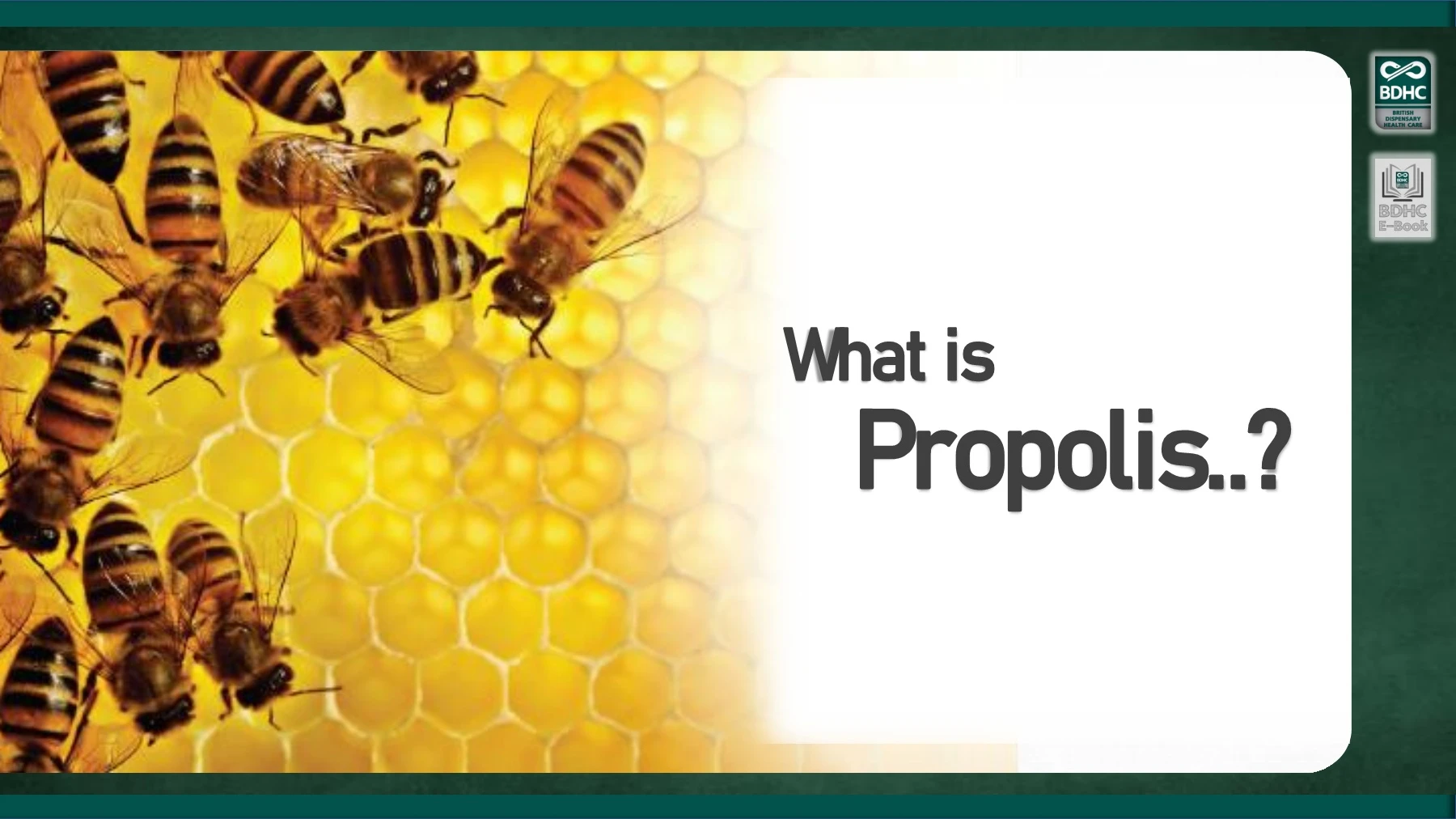 Propolis Def Info Sharing_What is Propolis_e-book version