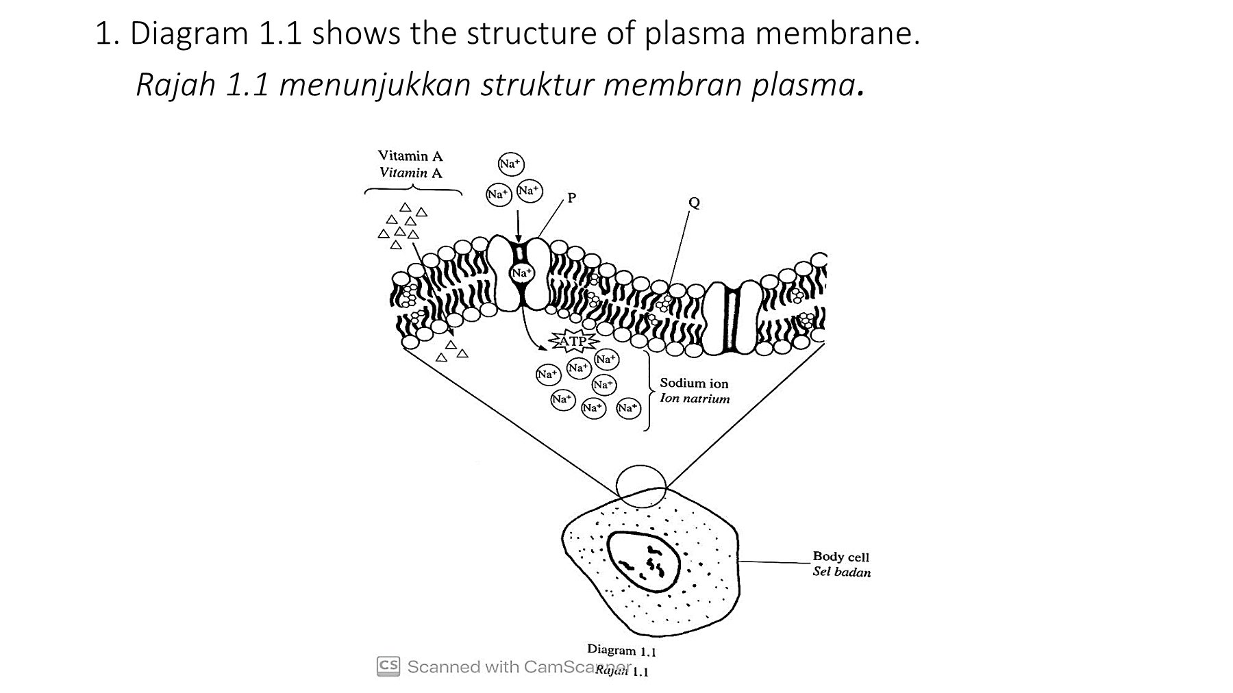 Seminar Biologi 2020 - Membalik Buku Halaman 1-50 | AnyFlip