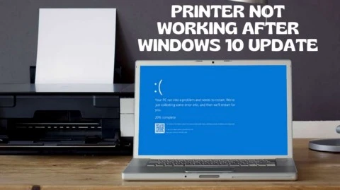 Methods to Fix Printer Not Working After Windows 10 Update