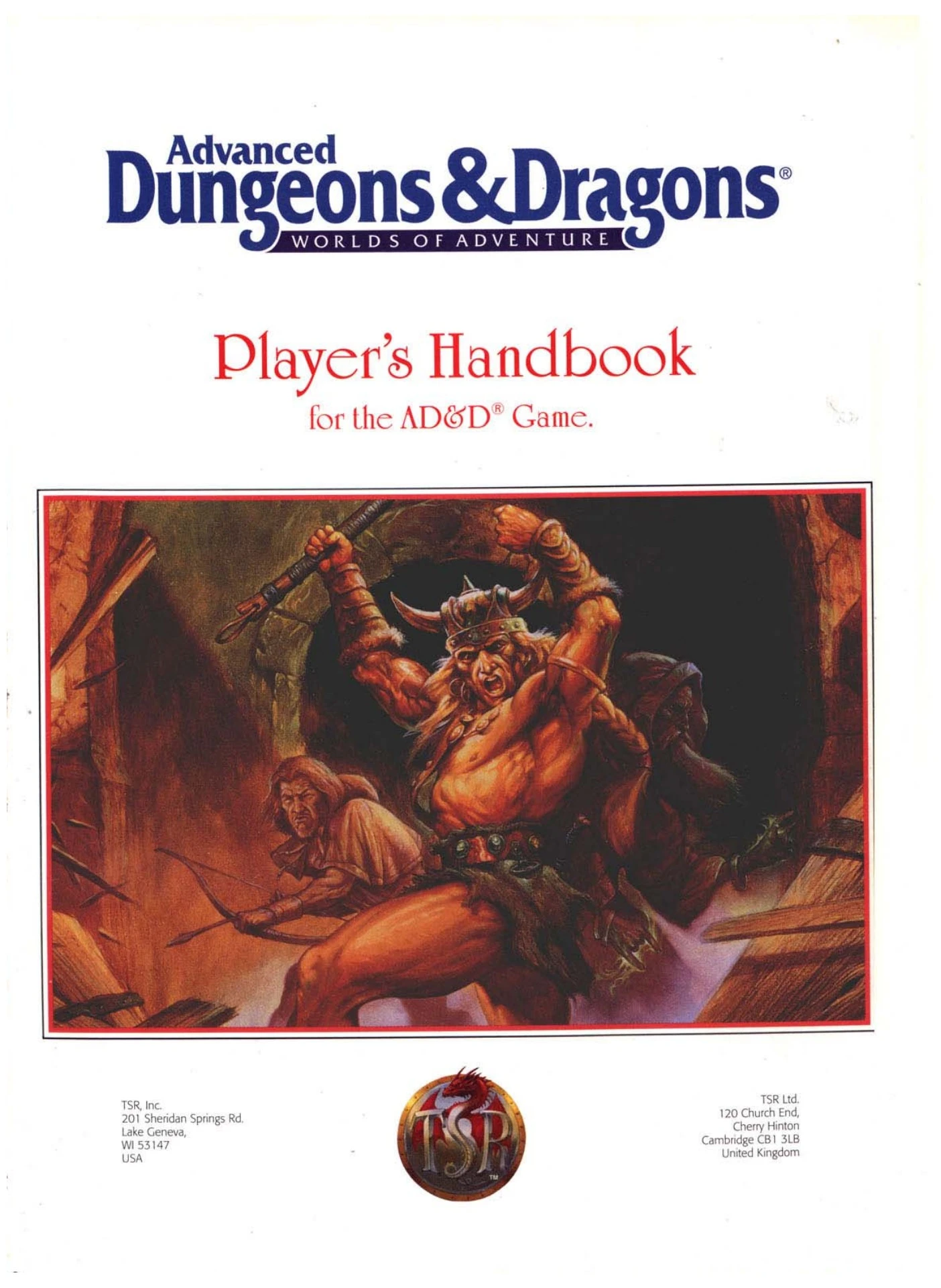 AD&D 2nd Edition Player