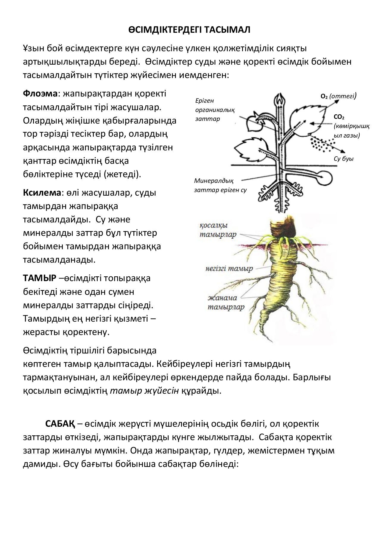 Догги стиліндегі есектердің фотосуреттерін таратыңыз Уретральды катетеризация порно