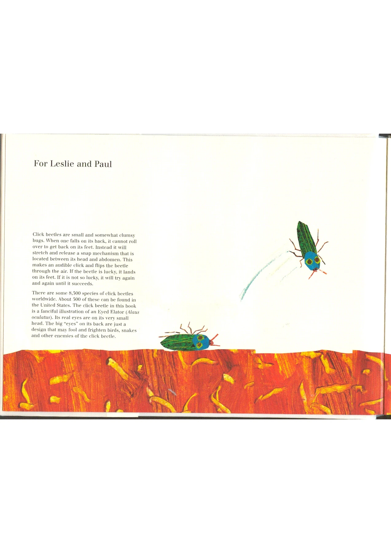 The very clumsy click beetle - Flip eBook Pages 1-28 | AnyFlip