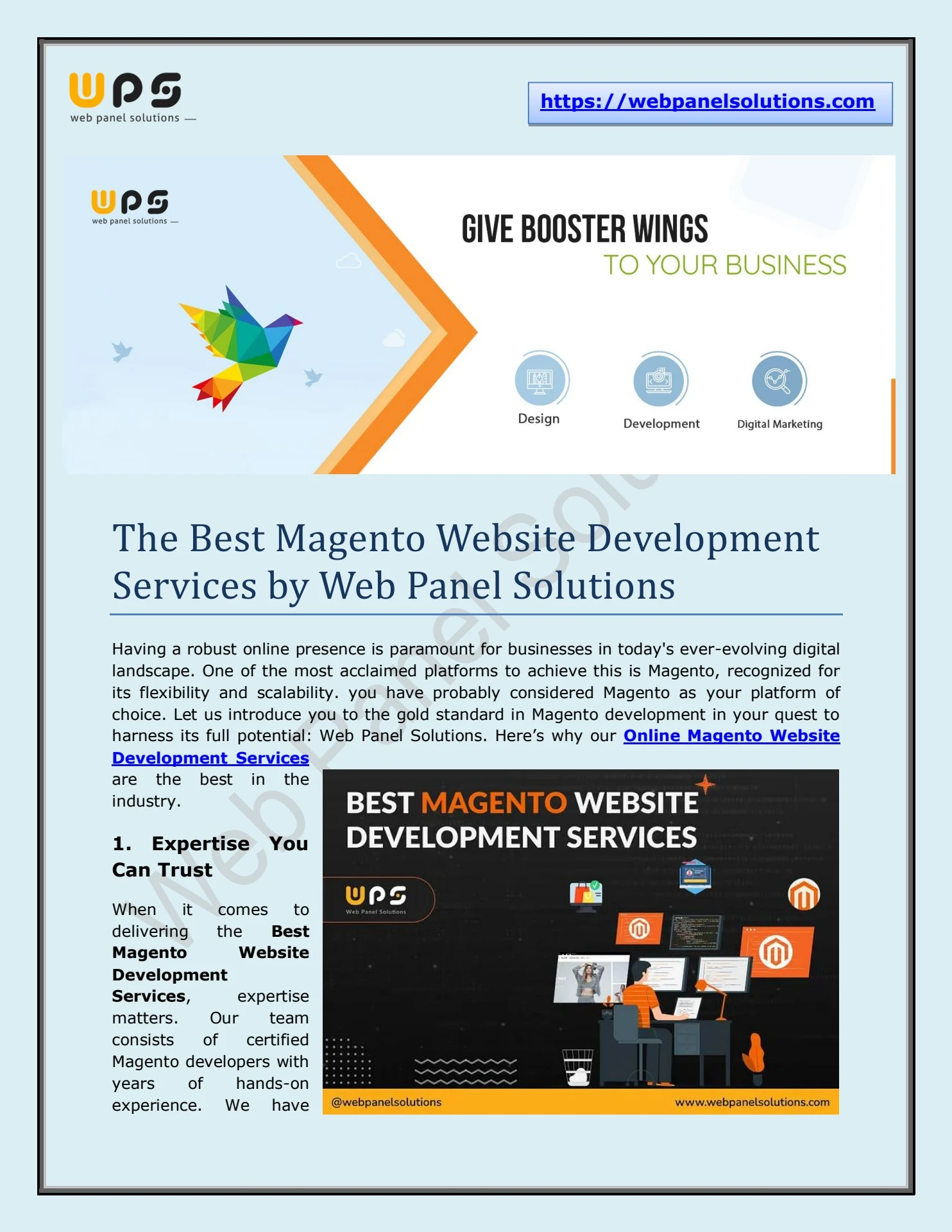 Magento & Laravel Website Development Services - Web Panel Solutions