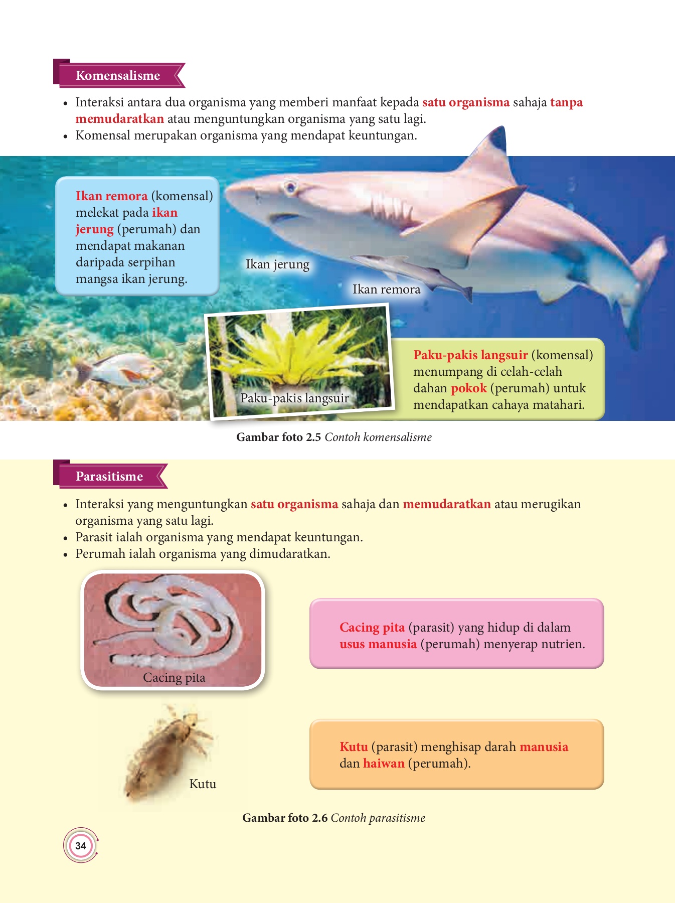 Snt2 B10 Angkasa Lepas Flip Ebook Pages 1 12 Anyflip Anyflip