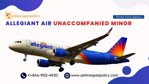 What is Allegiant Air Unaccompanied Minor Policy - Airlines Pet Policy ...