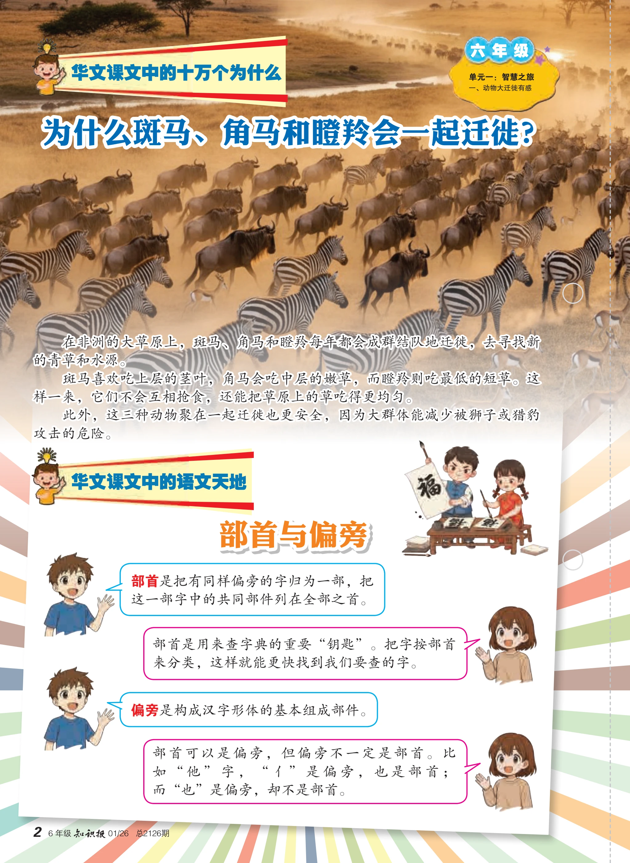 建模星形细胞瘤发病机制在体外和体内使用星形胶质细胞或条件，遗传工程小鼠神经干细胞, image size:2046x2800