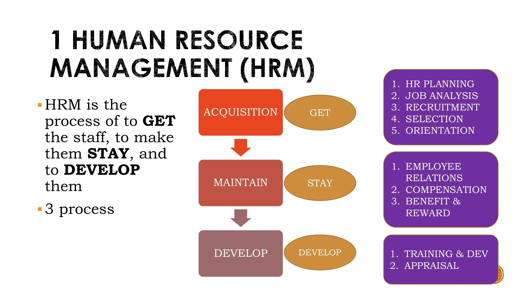 WEEK 6 HUMAN RESOURCE MANAGEMENT