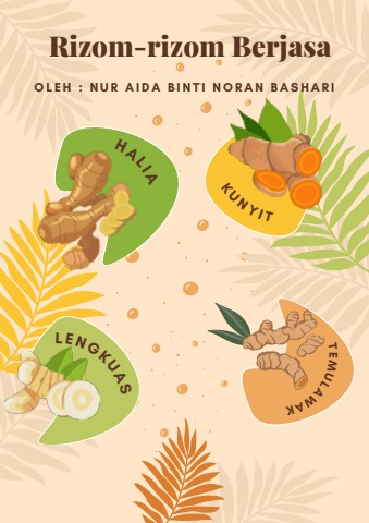 Rizom-rizom Berjasa (1) - PUSAT SUMBER MAYA SMK BUKIT JANA Flip PDF ...