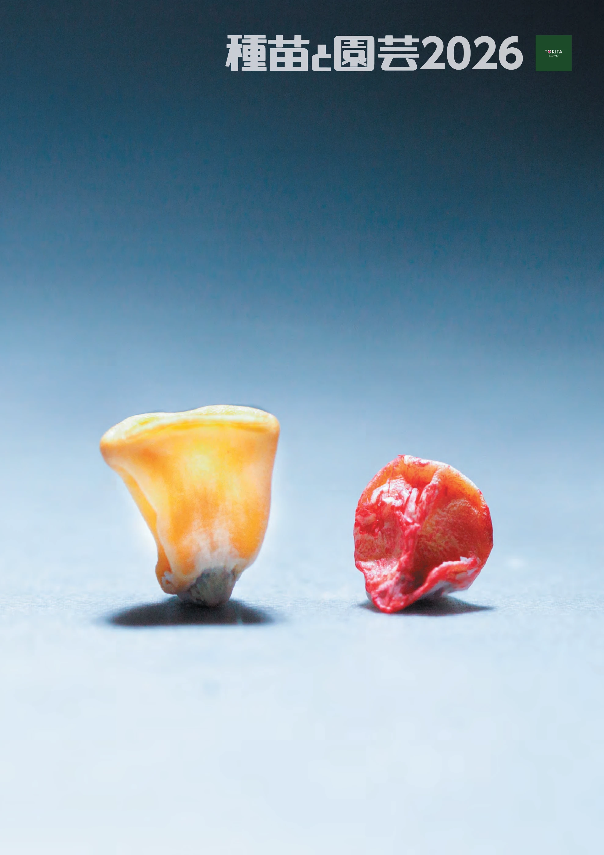 【人気種子】まとめ売り お菓子まとめ売り