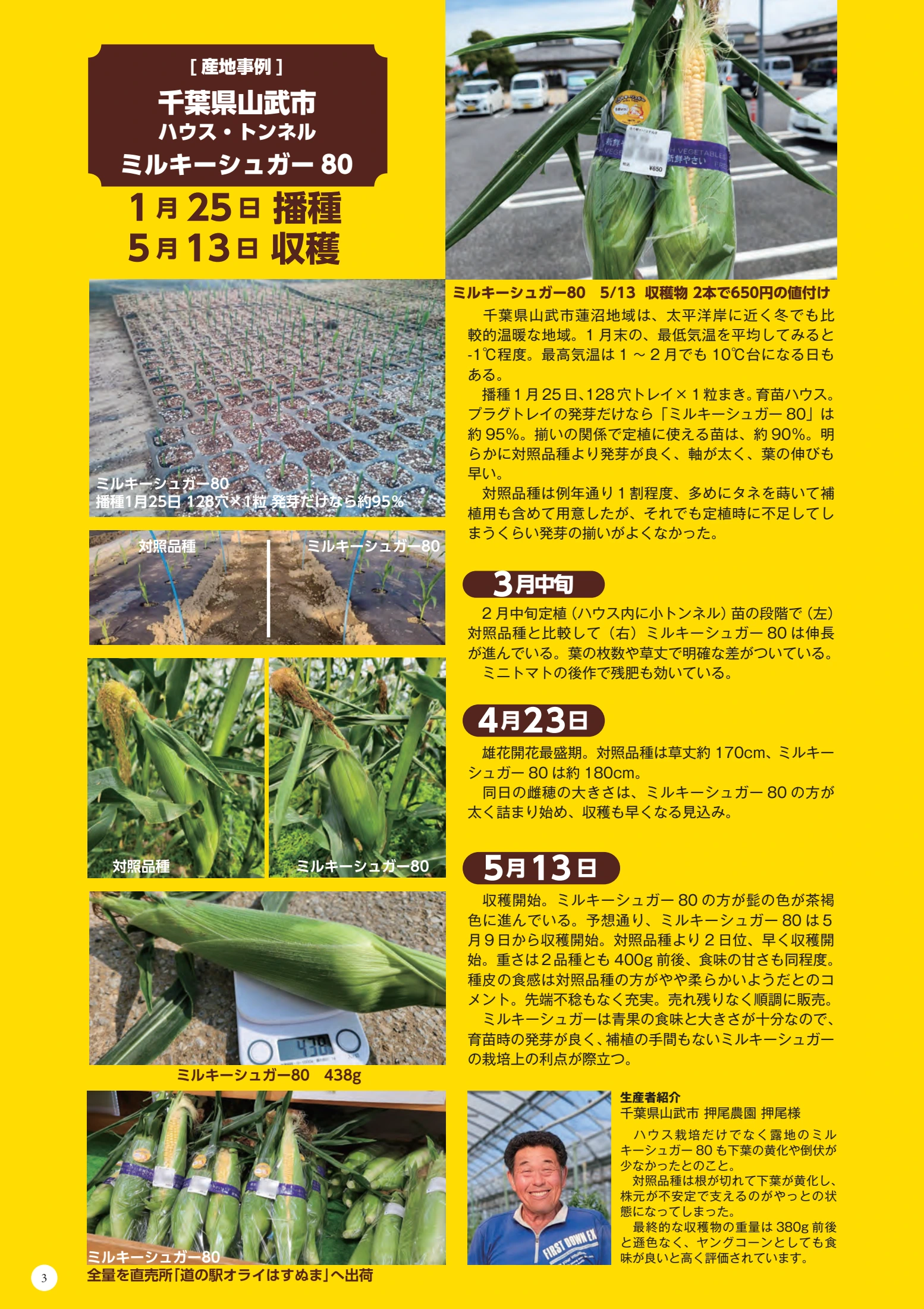 トキタ種苗の野菜品種電子カタログ 野菜の品種開発・種苗メーカー