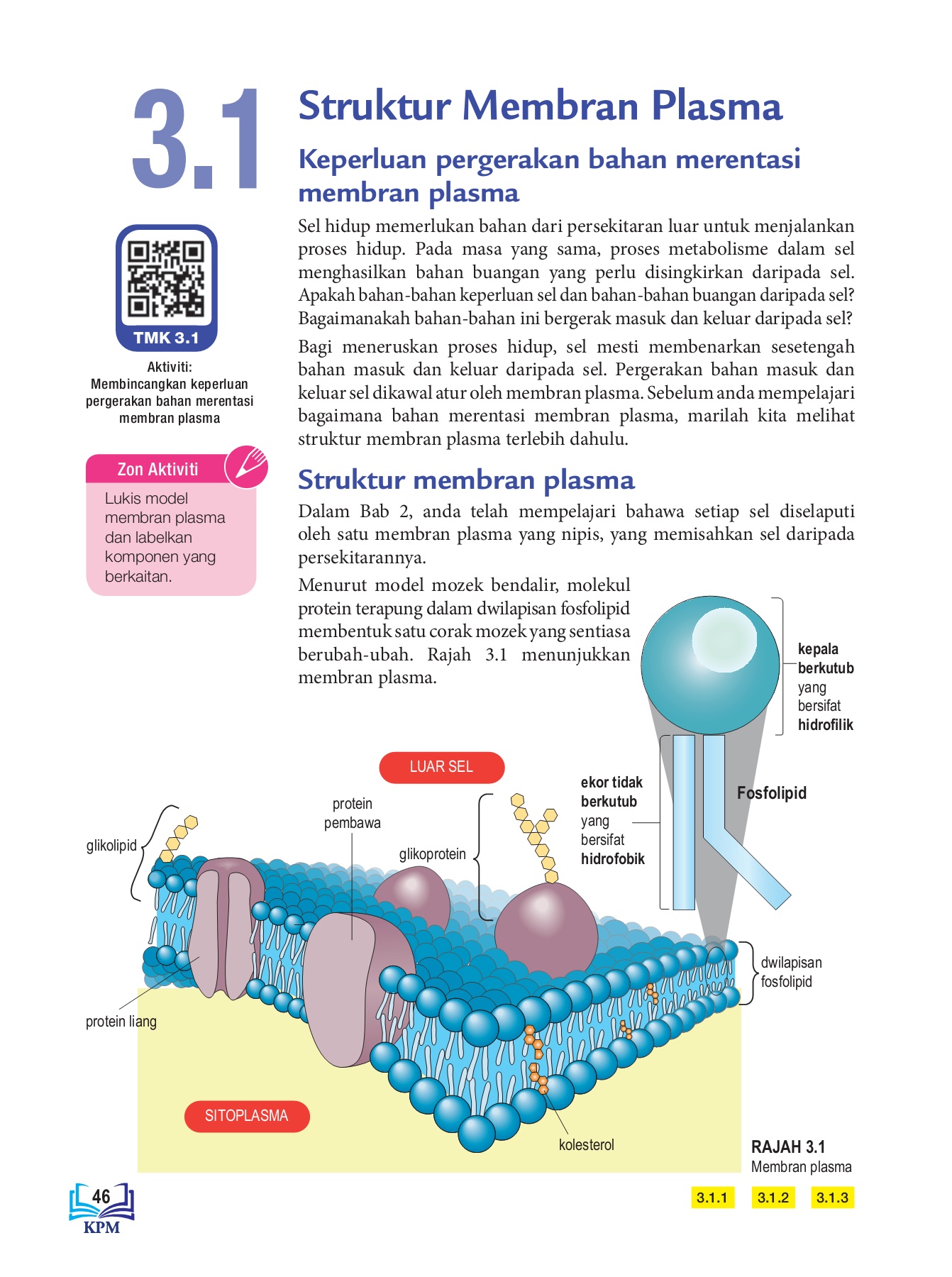 03 Pergerakan bahan merentasi membran plasma - Flip eBook Pages 1-26 |  AnyFlip