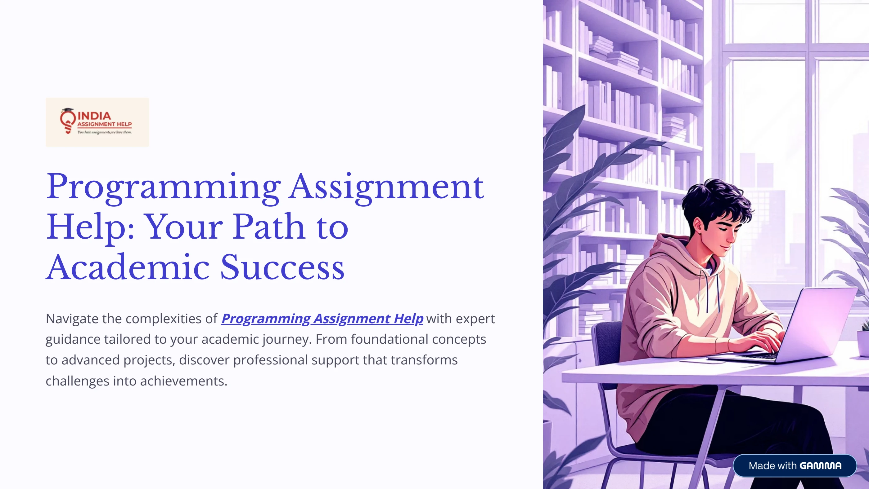 Reliable Online Programming Assignment Help