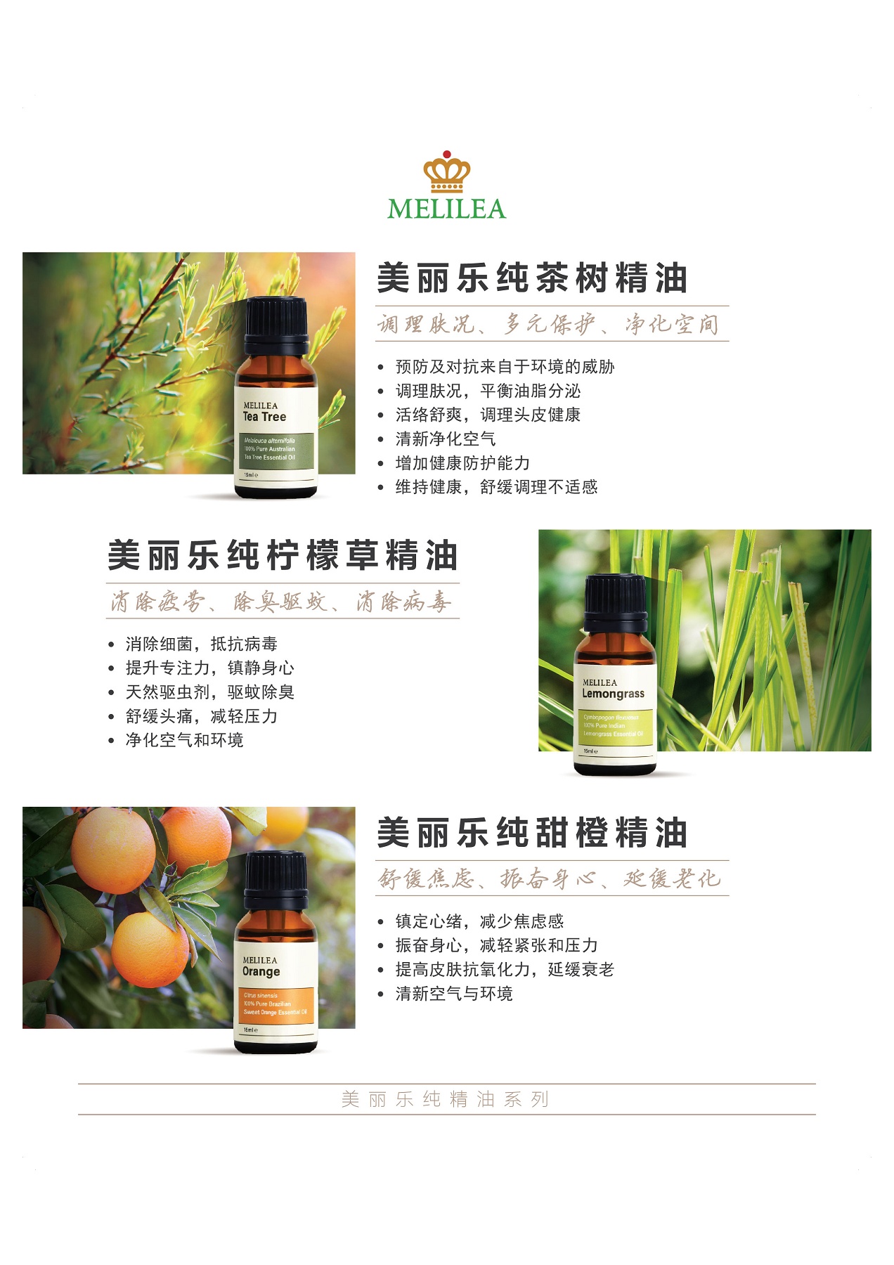 Essential Oil Dm Chi Flip Ebook Pages 1 10 Anyflip Anyflip