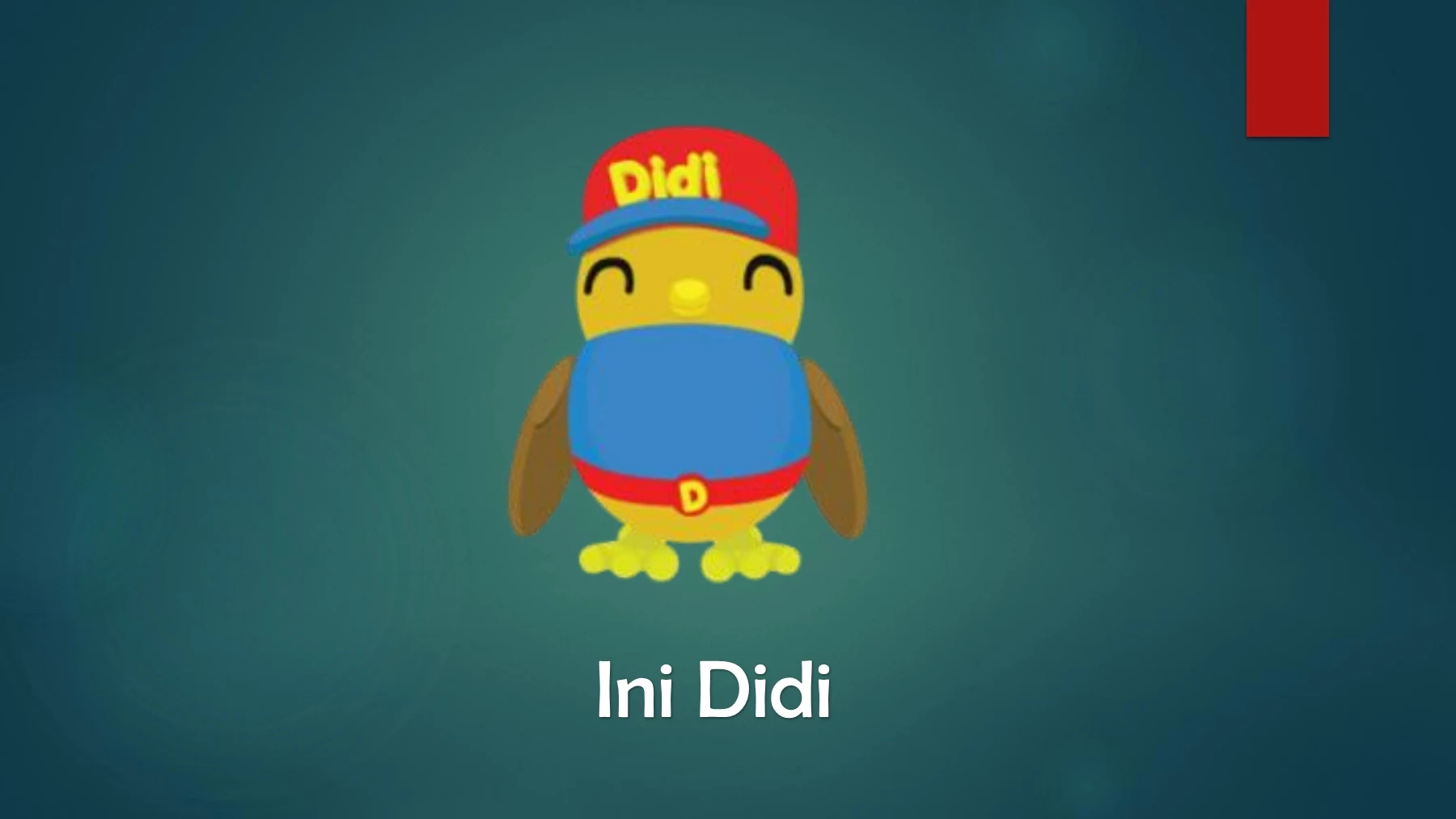 buku didi and friends