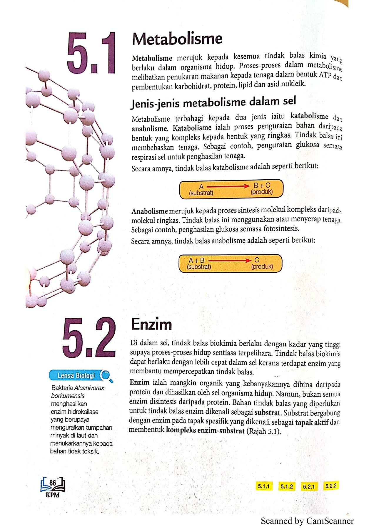 BAB 5 BIO F4