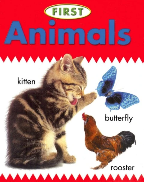 First Animals