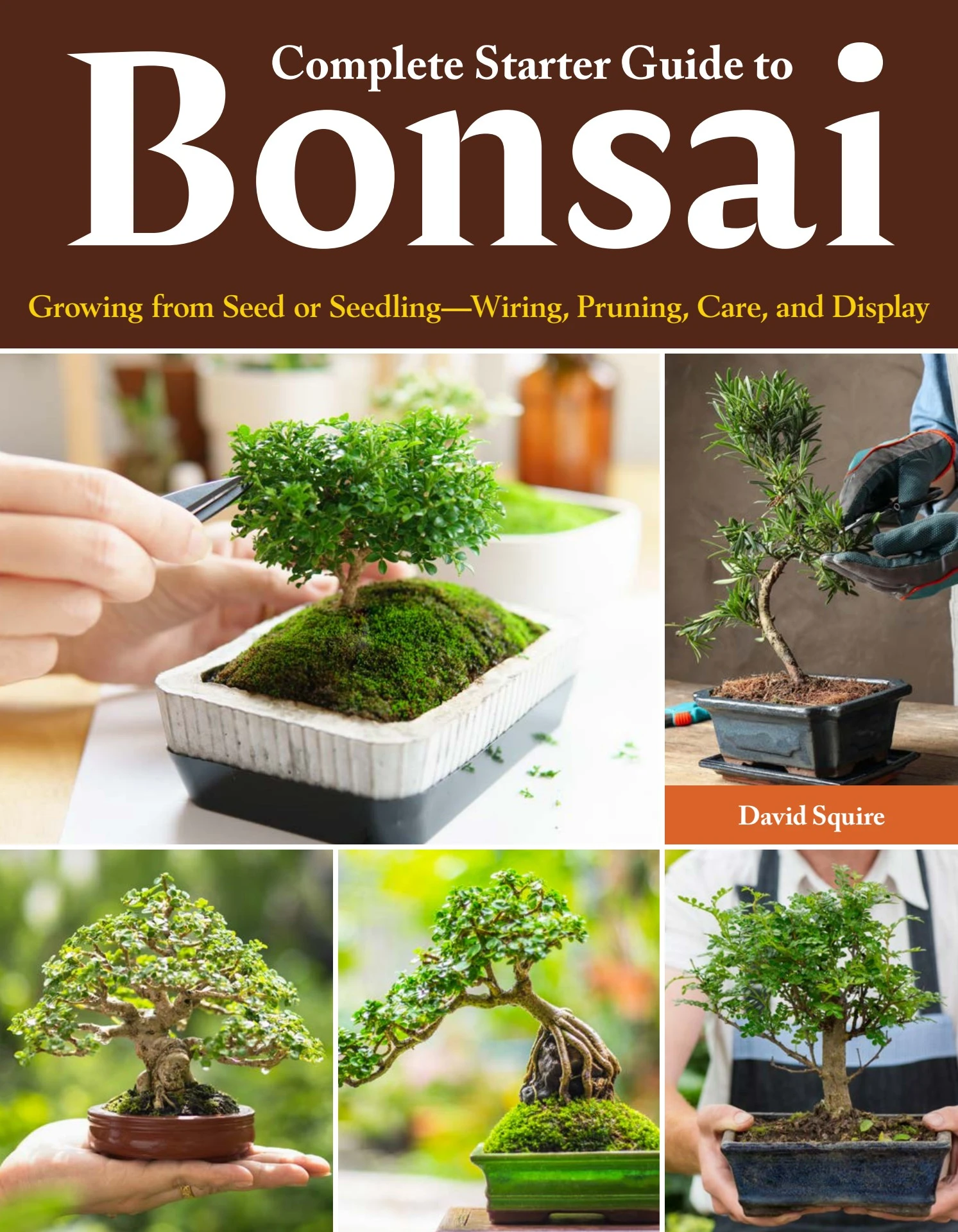 BONSAIページ Beginner Bonsai Kit – Wigert's Bonsai
