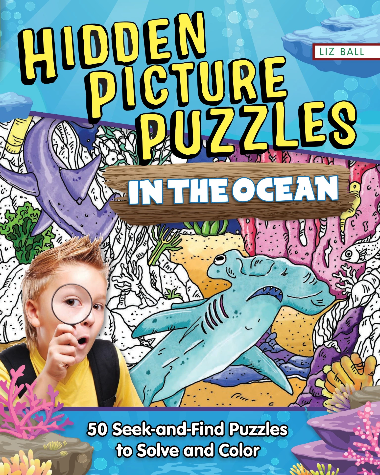 Hidden Picture Puzzles in the Ocean