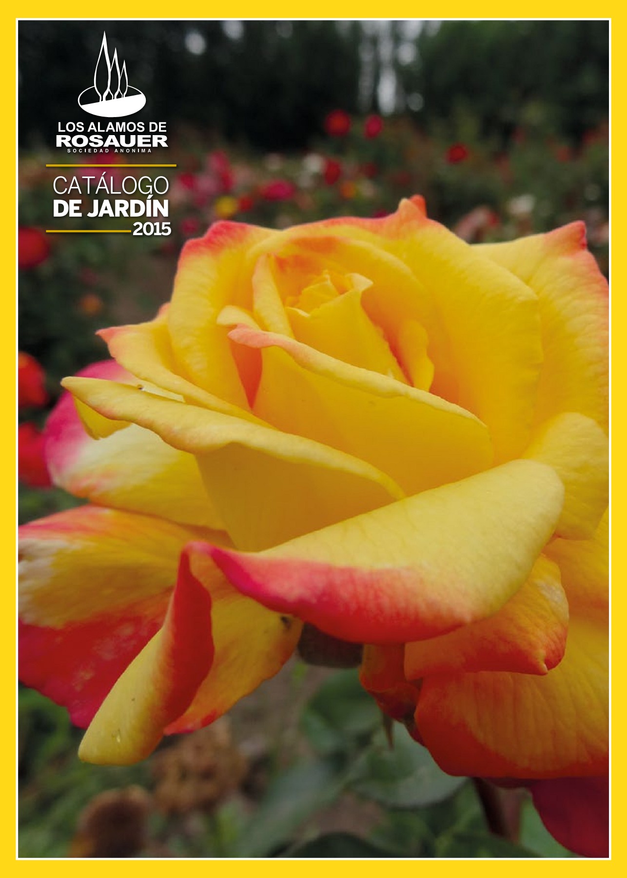 catalogo de rosas - Flip eBook Pages 1-50 | AnyFlip, image size:1286x1800