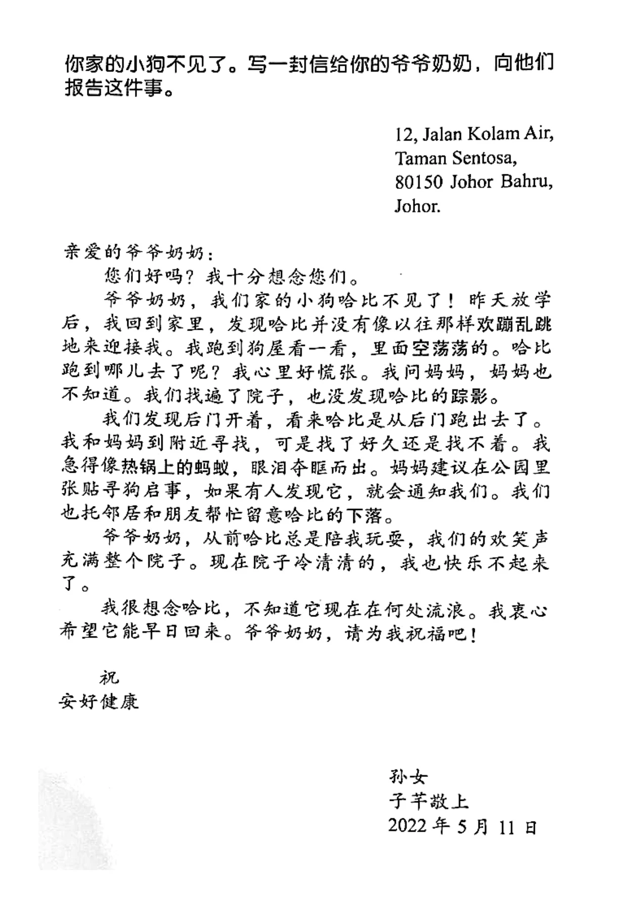 UASA 华语丙组：作文复习