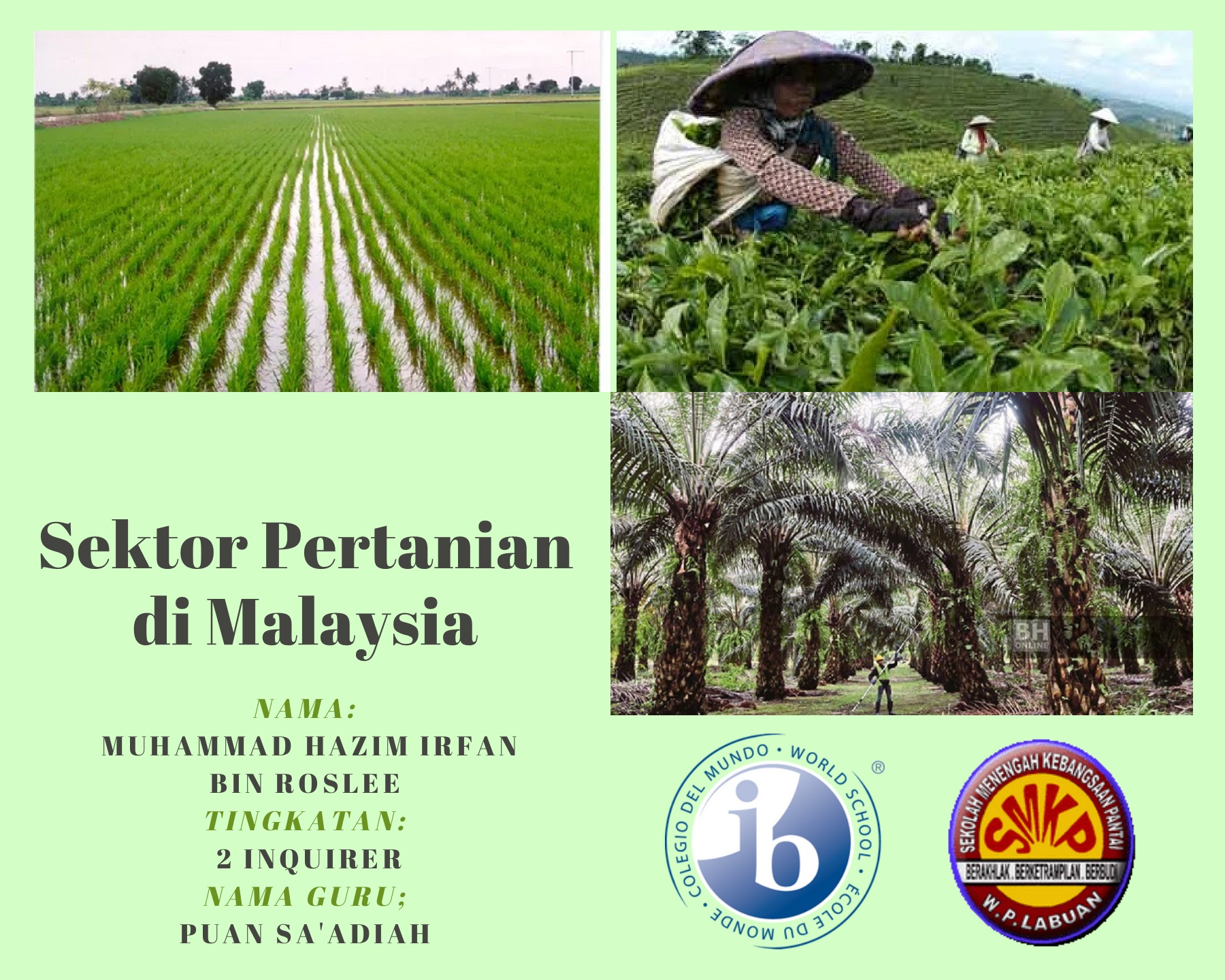 Buku Skrap Sektor Pertanian Flip Ebook Pages 1 7 Anyflip Anyflip