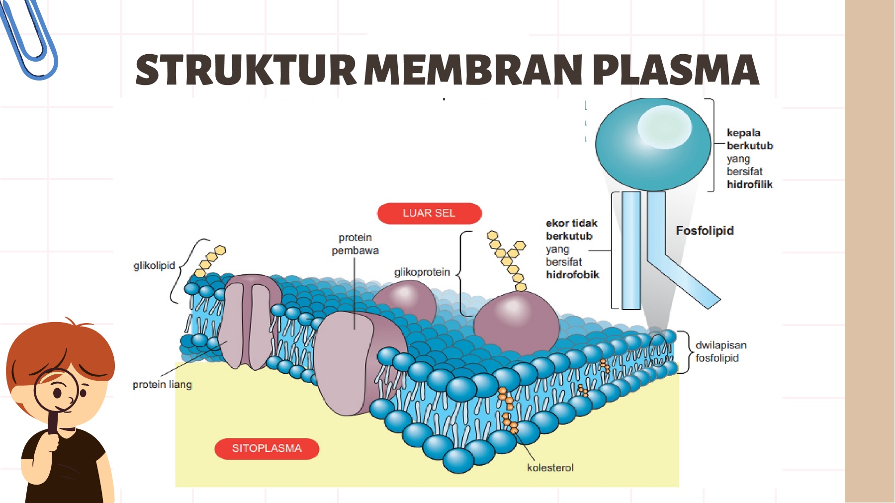 Nota ringkas - Flip eBook Pages 1-23 | AnyFlip