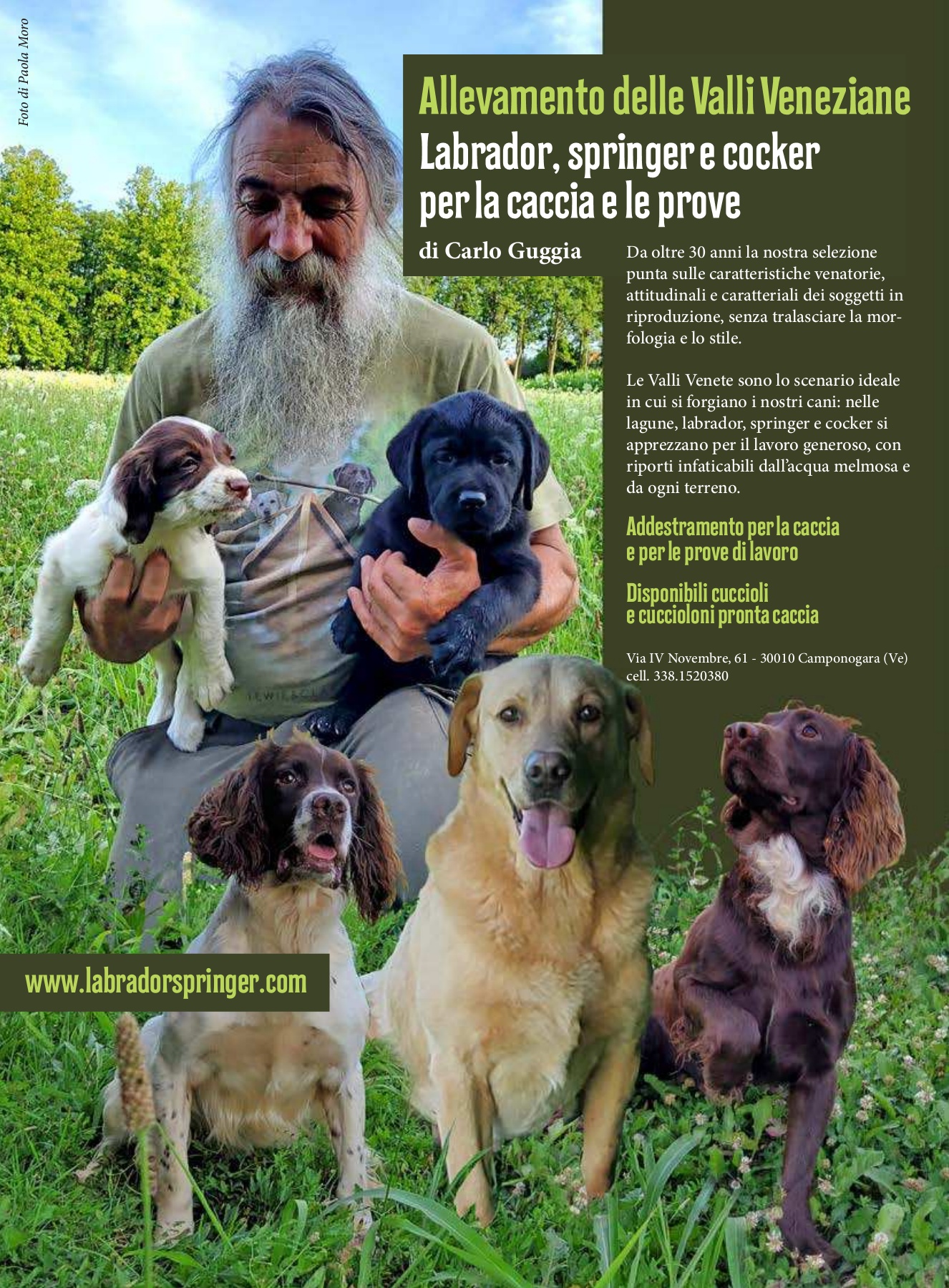 Seconda inserzione progetto “Il lavoro al primo posto” - 2010, image size:1326x1800