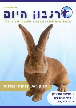 The Israeli Rabbit Breeders Club Newsletter - revitalbs1 Flip PDF | AnyFlip