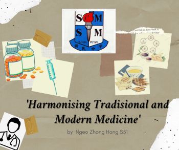 Harmonising Tradisional and Modern Medicine - zhonghong0412 Flip PDF ...