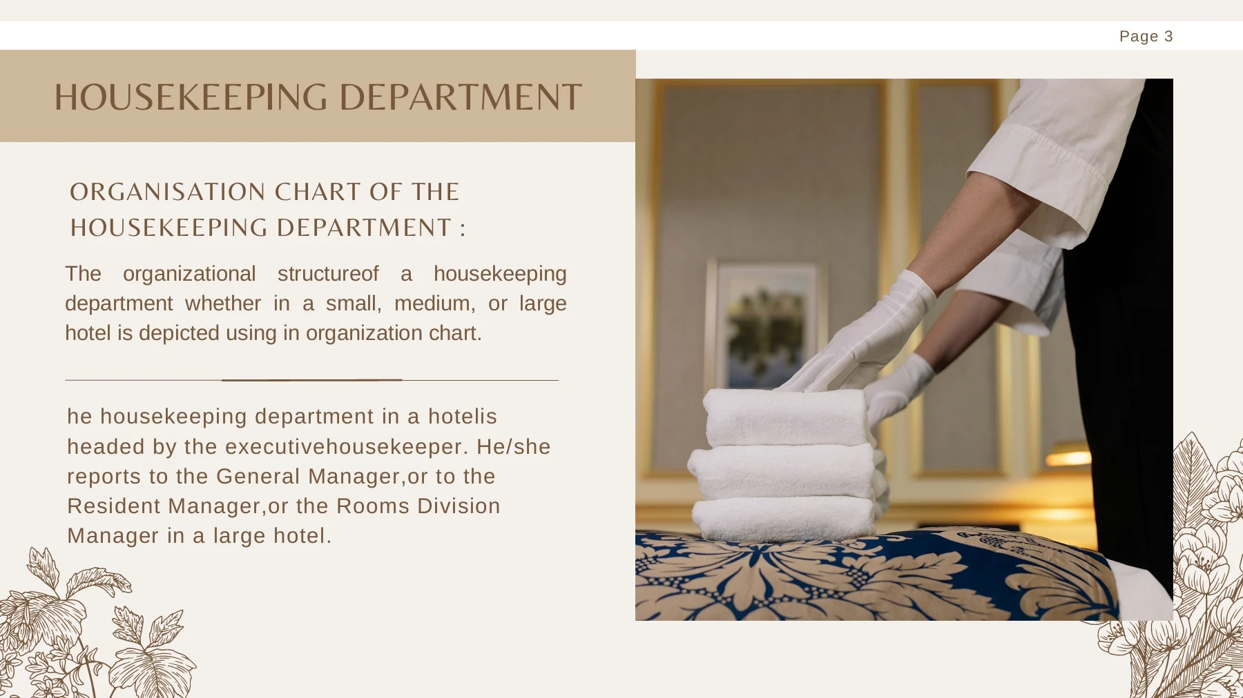Housekeeping Position Chart Housekeeping Department Organizational Chart