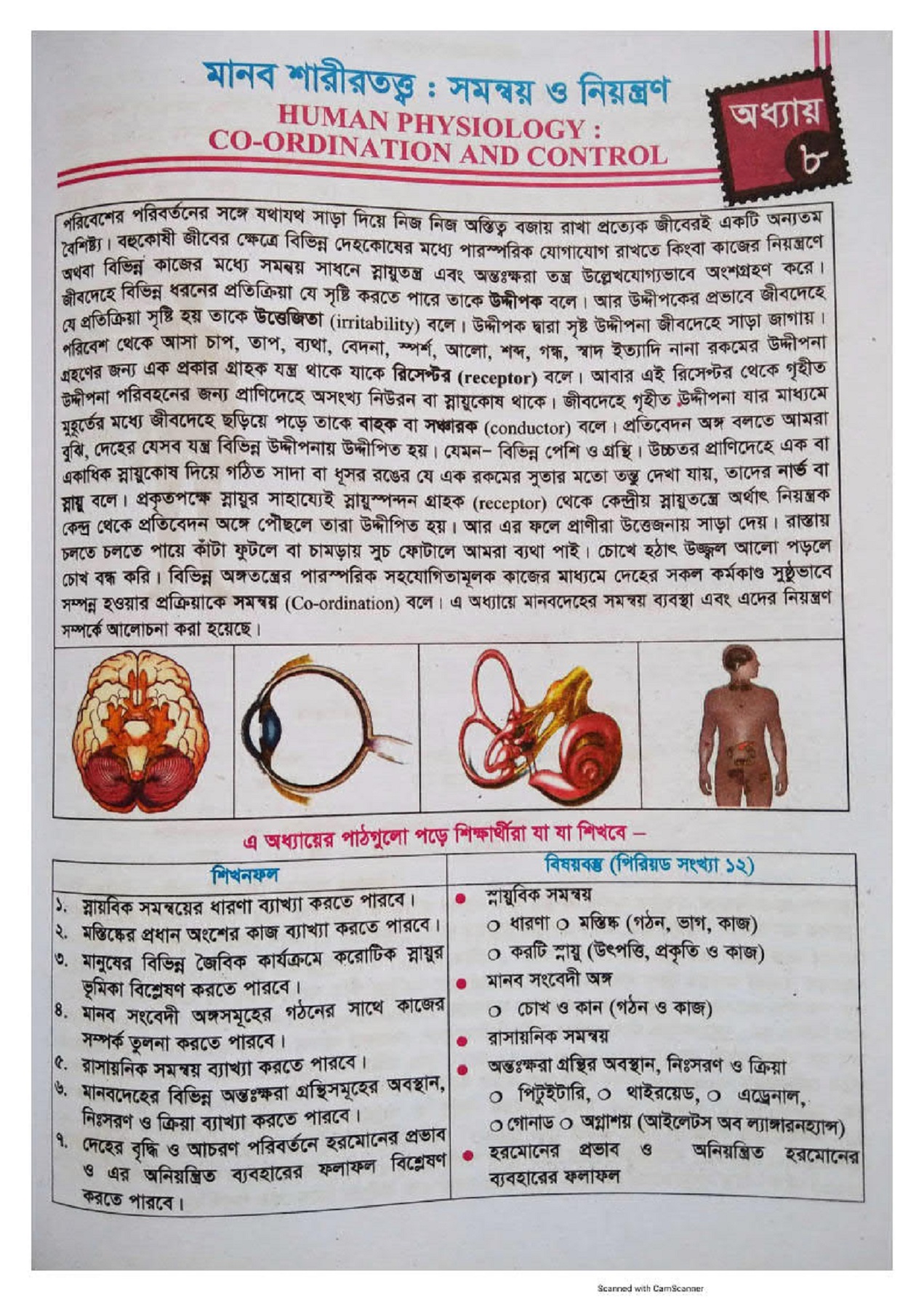 Quritilgan oriklarning porno fotosuratlari Erotizm va qayta qurish