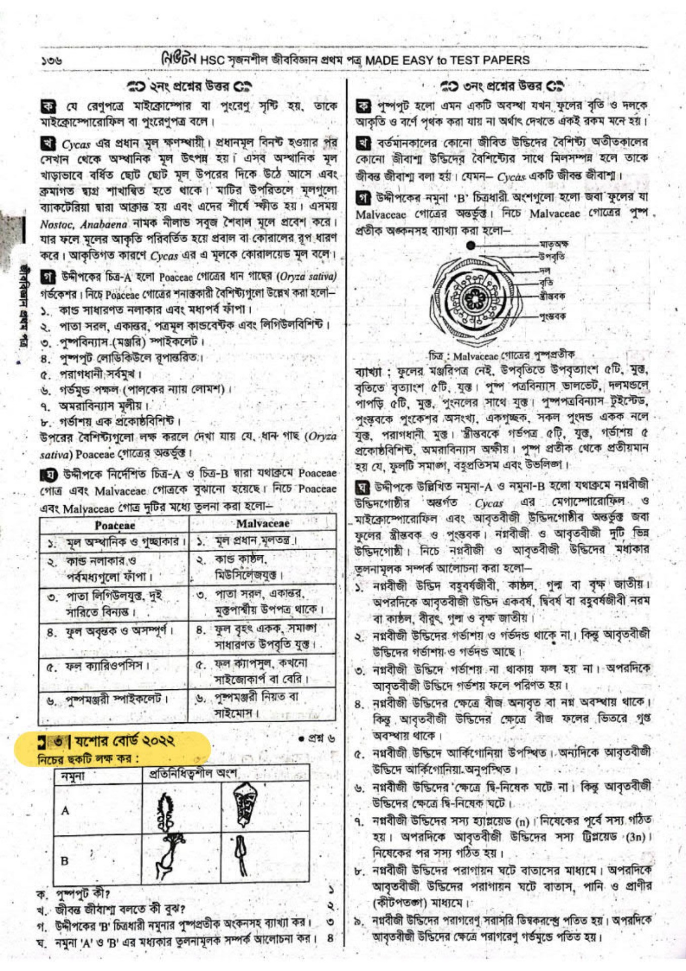 Vaginal jinsiy aloqa paytida havo chiqadi